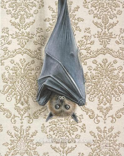 Bat Note Card by EMILY UCHYTIL